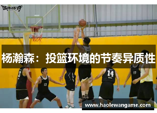 杨瀚森：投篮环境的节奏异质性